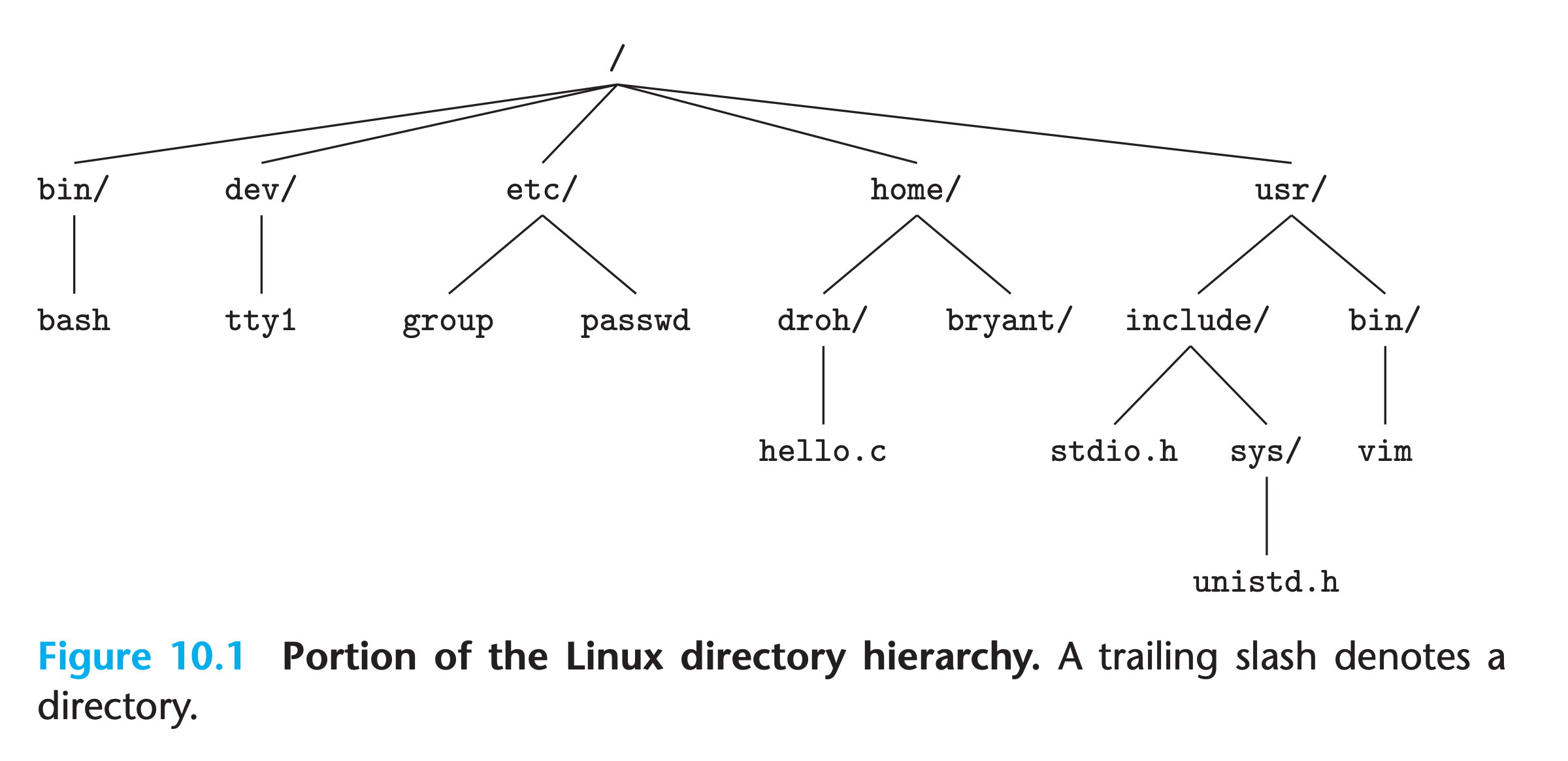 directory hierarchy