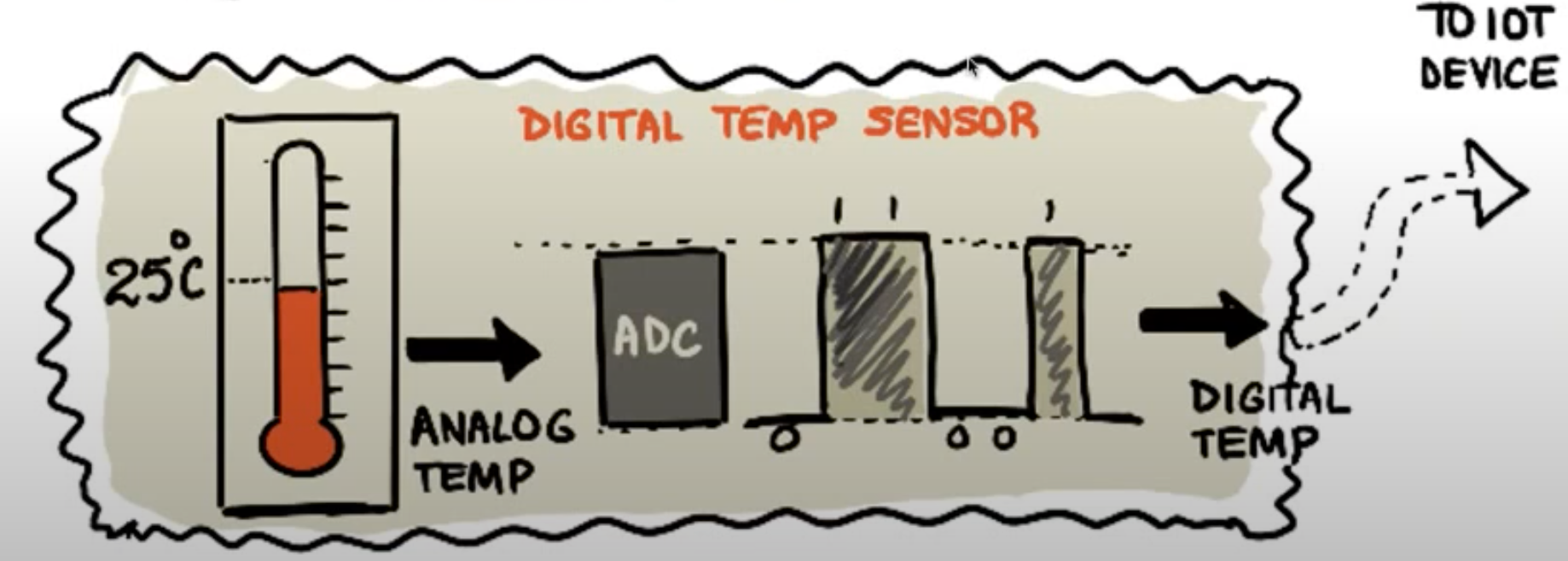 Digital Sensors Anatomy